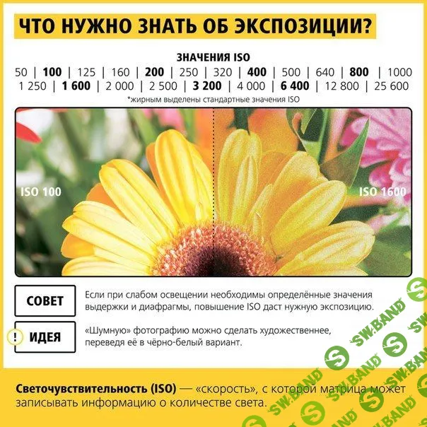 Самое время научиться правильно фотографировать