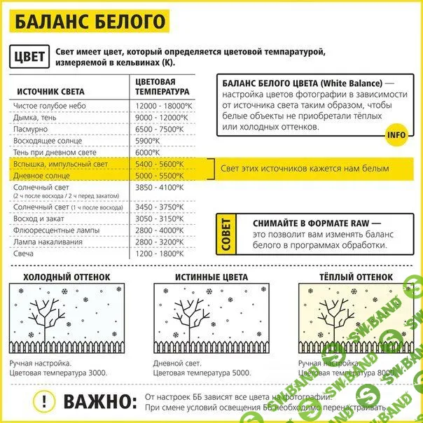 Самое время научиться правильно фотографировать
