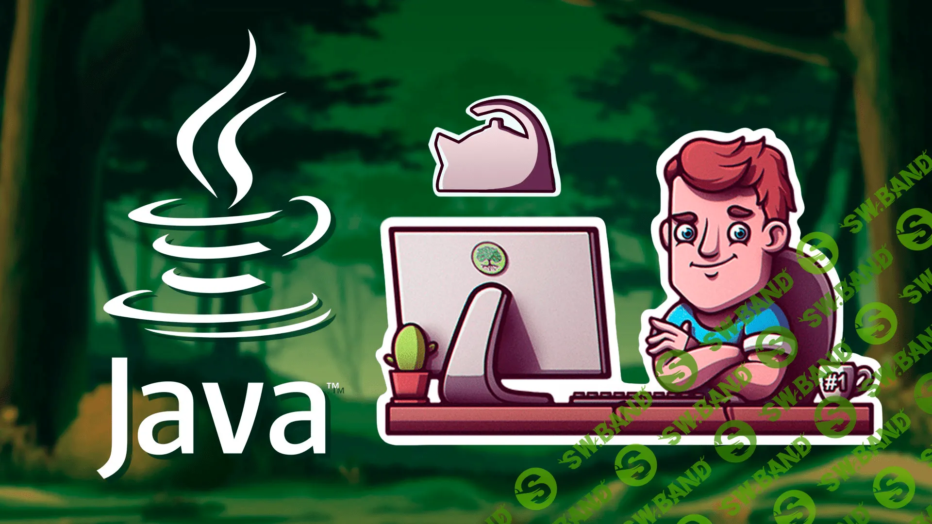 Самые популярные языки программирования в 2019 году