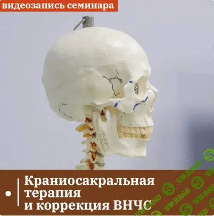 [Сандал] Краниосакральная терапия и коррекция ВНЧС (2024)