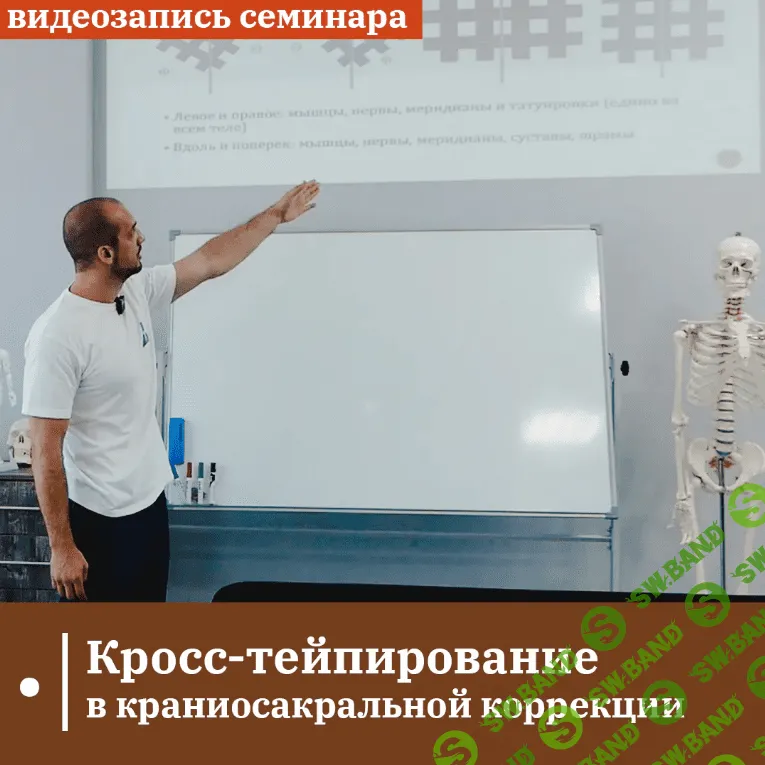[Сандал] Кросс-тейпирование в краниосакральной коррекции (2024)