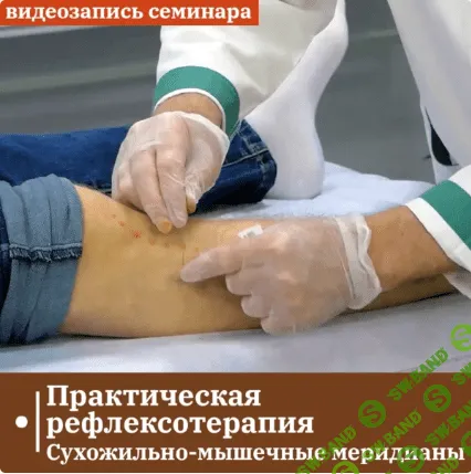 [Сандал] Практическая рефлексотерапия. Сухожильно-мышечные меридианы (2023)