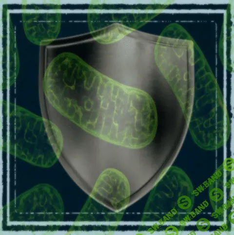 [Sapien Medicine] Смесь для защиты митохондрий (2022)