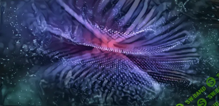 [Sapien Medicine] Вибрация творения (2020)