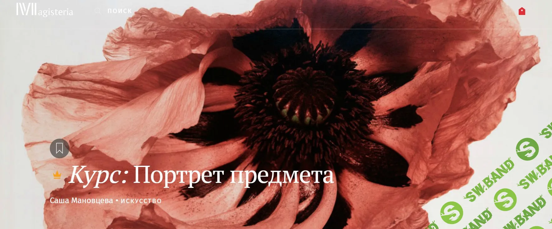 [Саша Мановцева] Портрет предмета (2020)