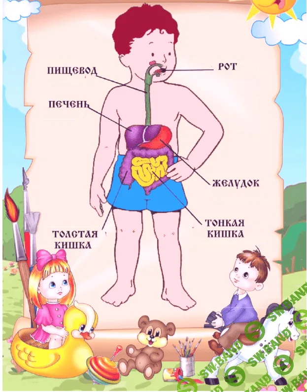 [Савицкая] Доктор - (2015)