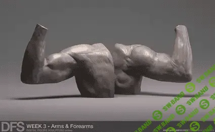 [scotteaton] Курс цифрового скульптинга человека в Zbrush. Неделя 3