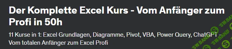 [Себастьян Глекнер] Полный курс Excel — от новичка до профессионала за 50 часов (2023)
