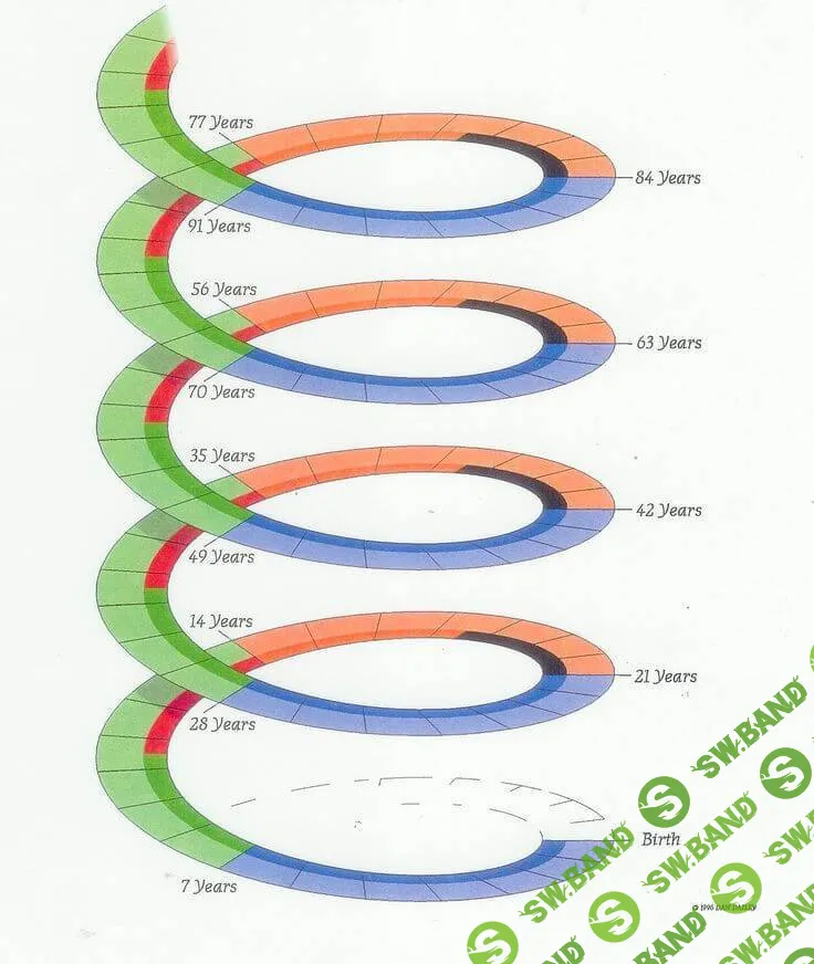 Семилетние циклы жизни человека