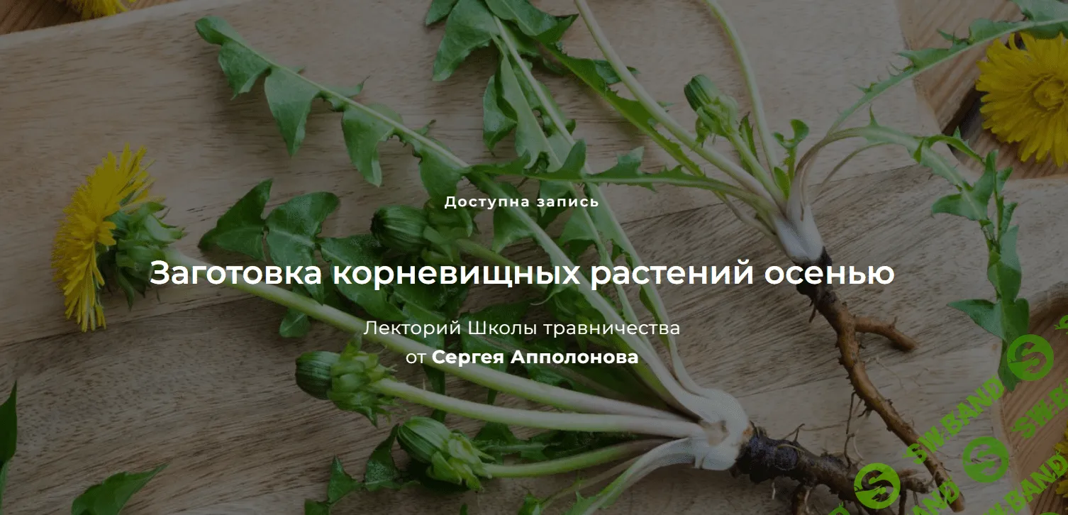 [Сергей Апполонов] Заготовка корневищных растений осенью (2023)