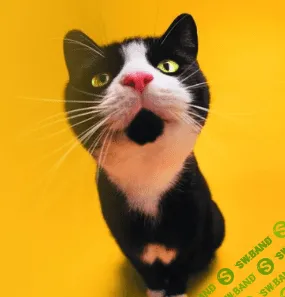 [Сергей Бибин] Бессмертная мотивация. Как обрести личную силу.