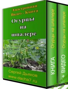 [Сергей Дьяков] Огурцы на шпалере