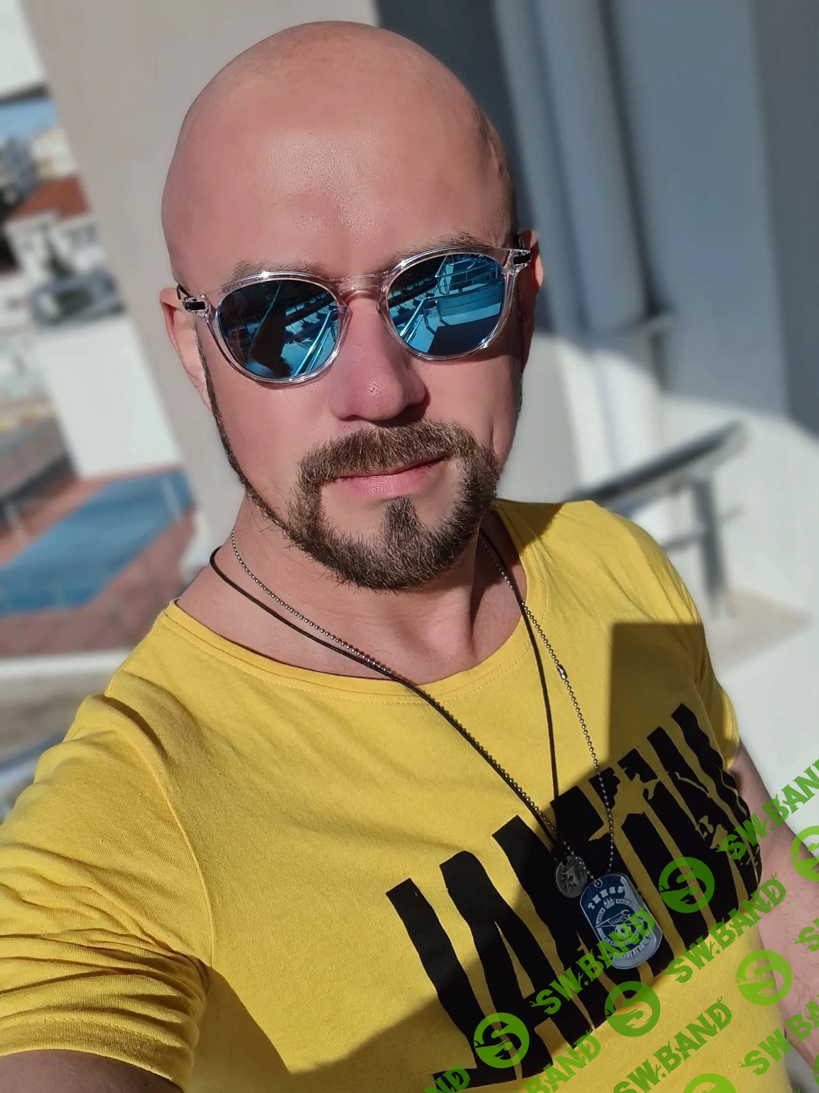 [Сергей Филиппов] 50 видео закрытой секретной группы «Цикорий» (CFC) (2022)