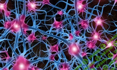 [Сергей Голубицкий] Нейросетевой и спектральный анализ в трейдинге