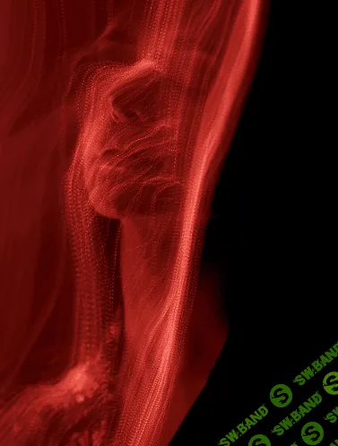 [Сергей Гунин] Самый творческий свет: «Фонарик и длинная выдержка» [whiteonline]