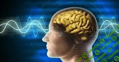 [Сергей Селлер] «Скрытые Возможности Разума: Техника Использования Скрытых Возможностей Человека» 1