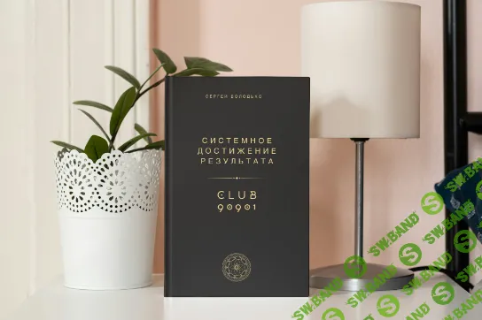 [Сергей Володько] Системное достижение результата (2024)