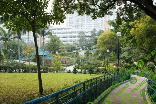 [Shambala] Гонконг это просто! Как за 4 дня посмотреть все! Путешествие под ключ