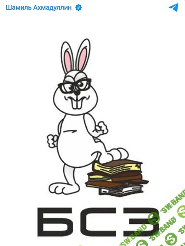[Шамиль Ахмадуллин] Базовая система знаний (2024)