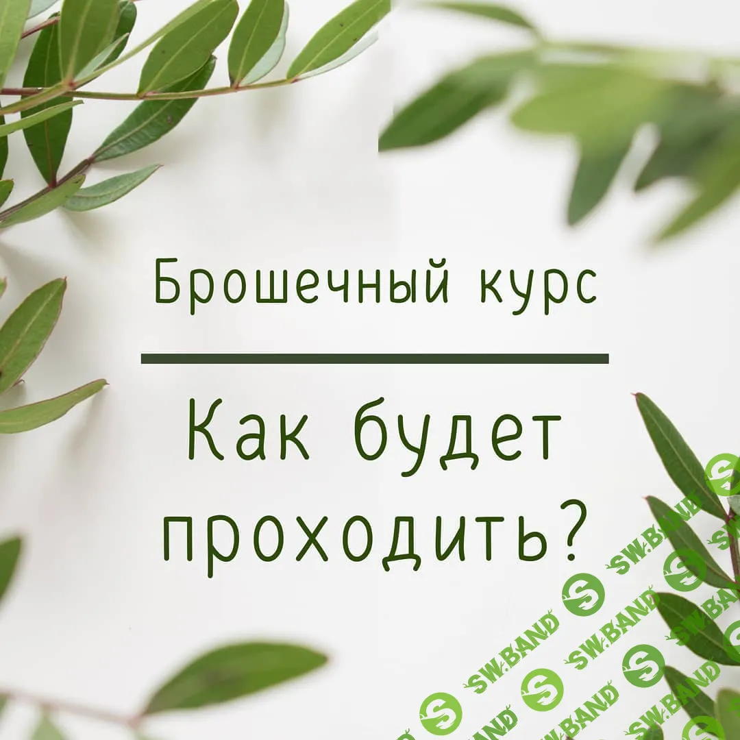 [Шерстяная афиша] Брошечный курс (2019)