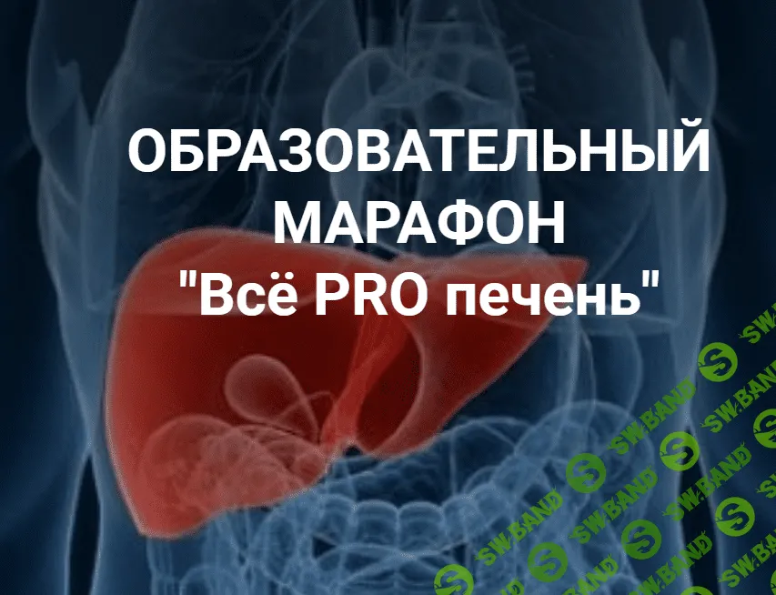 [Школа Диетологии и нутрициологии] Владимир Чикунов - Марафон «Всё PRO печень» (2021)