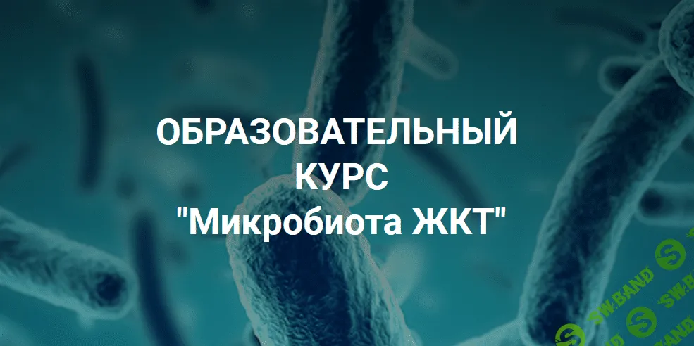 [Школа Диетологии и нутрициологии] [Владимир Чикунов] Образовательный курс "Микробиота ЖКТ" (2021)