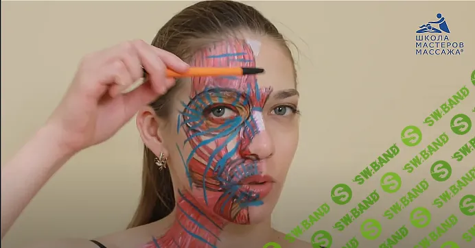 [Школа Мастеров Массажа] Самомассаж лица (2023)