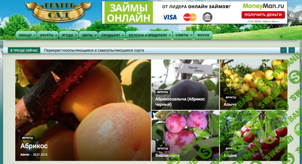 [Школа Monta] Готовые прибыльные сайты + пошаговые инструкции по работе с ними для получения дохода