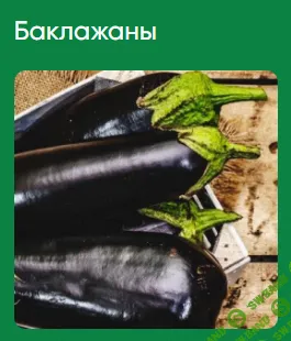 [Школа нетипичного фермера] Баклажаны (2022)