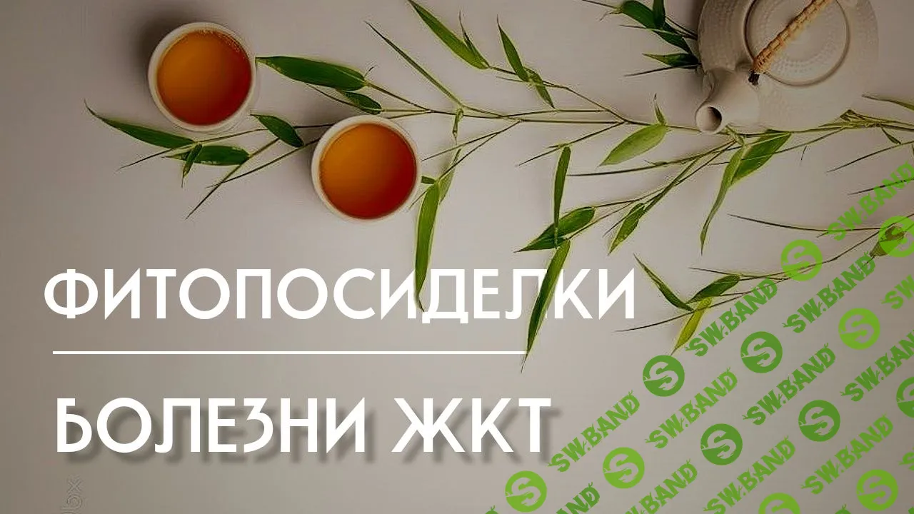 [Школа Ольги Данилюк] Фитопосиделки-4. Болезни жкт. (2023)