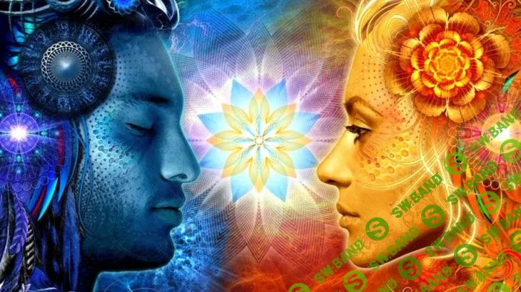 [Школа Велимиры и Бронислав] Диагностика и коррекция по фото (2016)