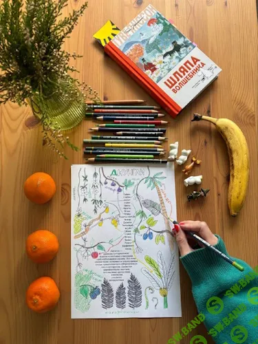 Шляпа волшебника [Алина Чабуткина]