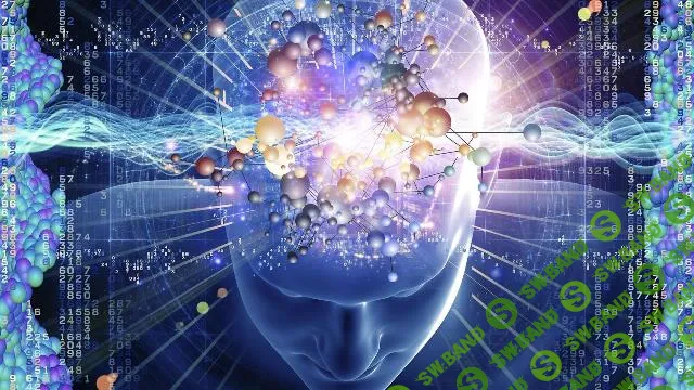 [Sigh Energy] Магнитный разум (2023)