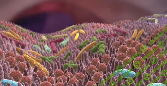 [Sigh Energy] Микробиом (2022)