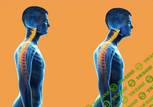[Sigh Energy] Мощная коррекция положения головы (2023)