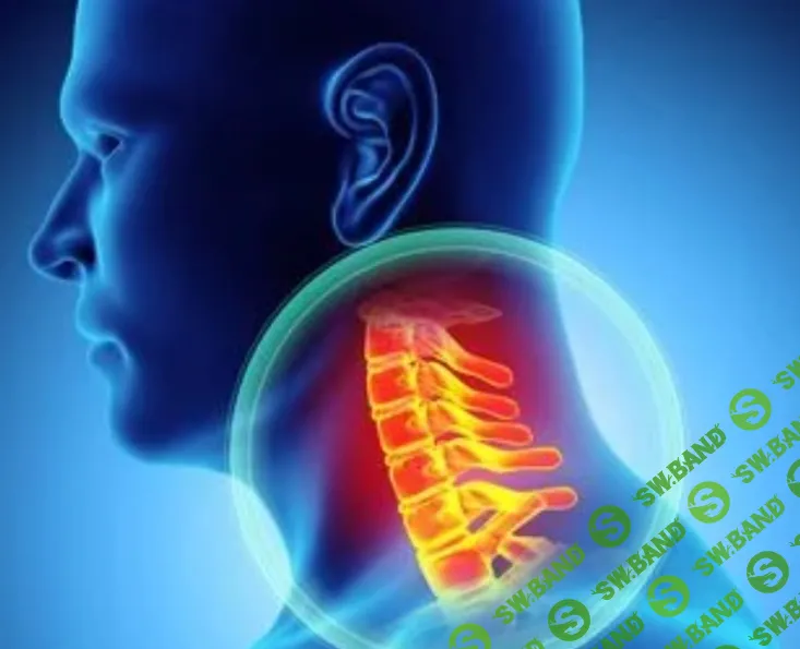 [Sigh Energy] Полное выпрямление шеи (2023)