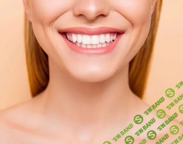 [Sigh Energy] Регенерация полости рта (2023)