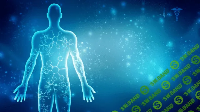 [Sigh Energy] Сканирование тела 2.0 (2022)