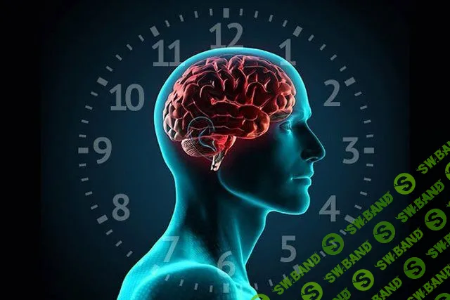 [Sigh Energy] Улучшение мозга и тела (2022)