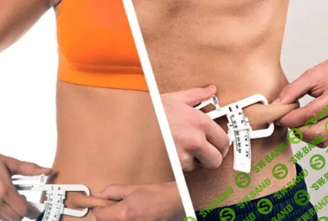 [Sigh Energy] Жировые отложения 2.5 (2022)