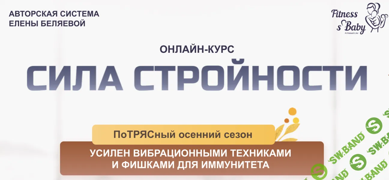 Сила стройности [Fitsbaby] [Елена Беляева]