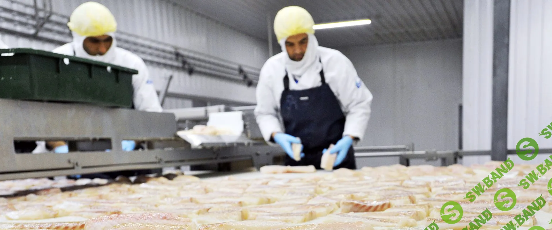 Сила в глубинке. Как заработать на франшизе в регионах