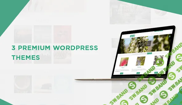 Скачать – 3 Premium Responsive WordPress Themes