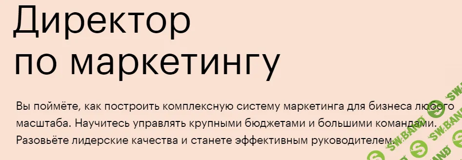 [SkillBox] Директор по маркетингу