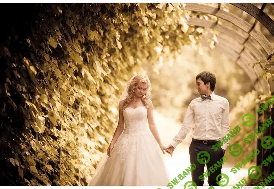 [Слава Гребёнкин] Сила света, или съёмка в условиях сложной освещенности