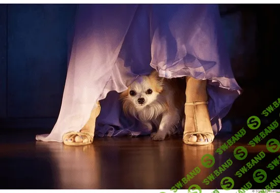 [Слава Гребёнкин] Сила света, или съёмка в условиях сложной освещенности