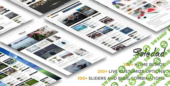 Soledad - Multi-Concept Blog/Magazine WP Theme