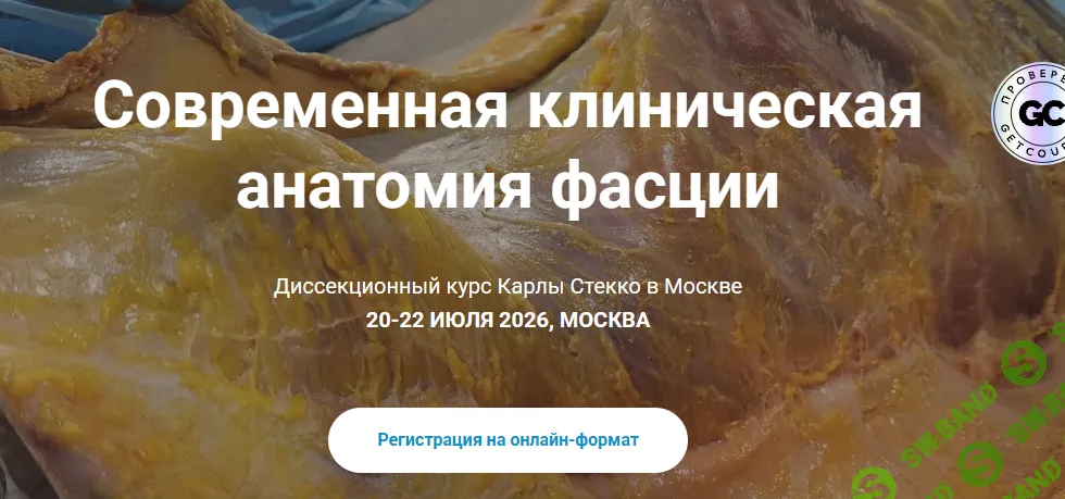 Современная клиническая анатомия фасции [Карла Стекко]