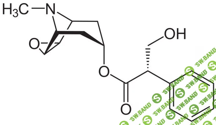 СП214, слитая схема по реальному оффлайн заработку