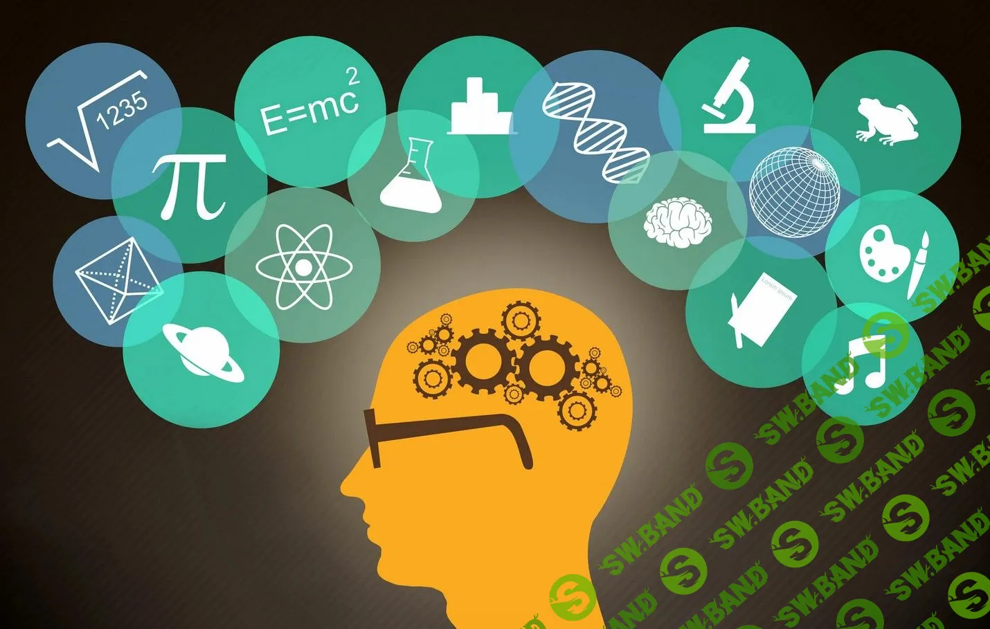 [Специалист] Мастерская скорочтения и памяти (2019)